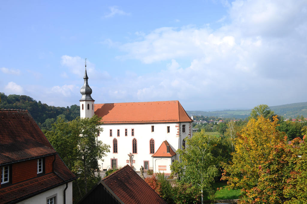 Bildungshaus Neckarelz Hotel Mosbach  Exterior photo